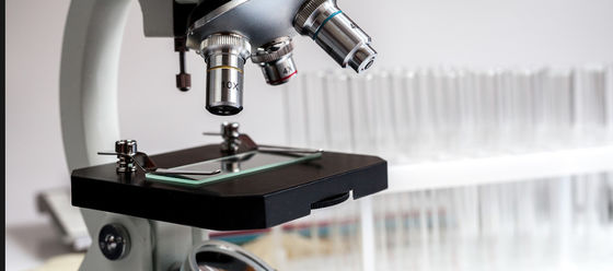 Bom preço Painel de vidro bruto resistente a produtos químicos para histologia/citologia Slides 1300*1100mm Tamanho regular 4PB 9-12um on-line